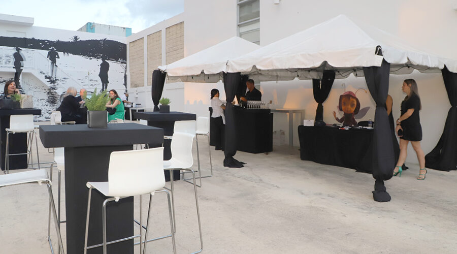 Celebrando el talento y el compromiso de las mujeres puertorriqueñas